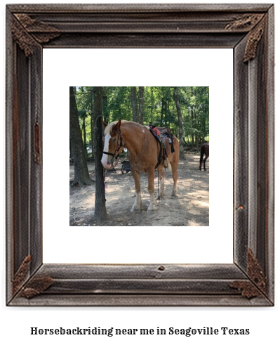 horseback riding near me in Seagoville, Texas